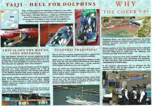 Taiji - Dolphin Slaughter
