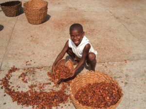 Child labor cocoa