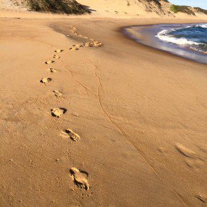 Mozambique footprints