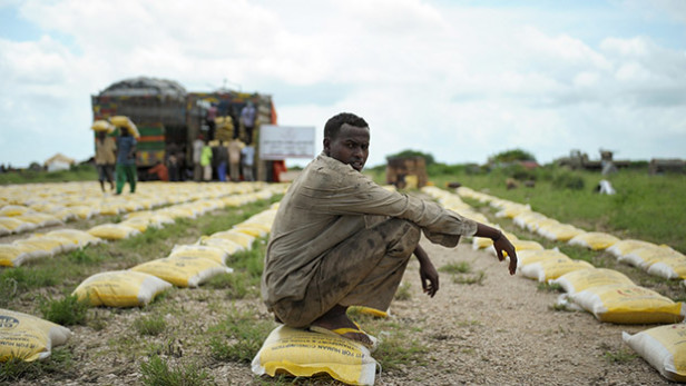 A man rests on a bag of rice during food distribution at the AMISOM base in Jowhar, Somalia for internally displaced people affected by heavy floods and armed conflict. What is goal 16 and how can the private sector participate? Photo by: Tobin Jones / United Nations / CC BY-NC-ND